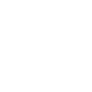 202251f9627aa96a's emblem