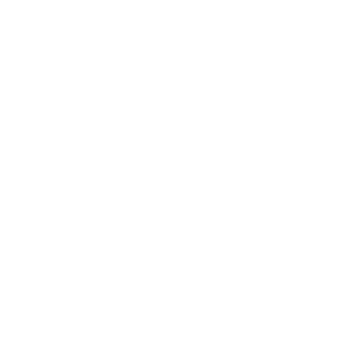 Igor_Strelkov_NR's emblem