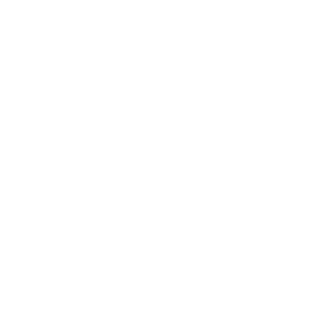 Laquila404's emblem