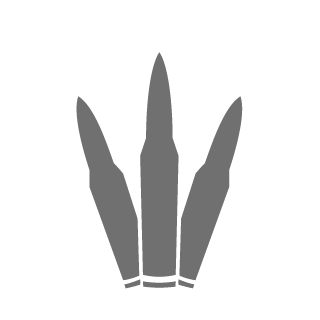 G4mer_Boie's emblem