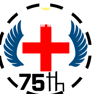 Vatis_002's emblem