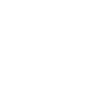 Fast-Killer-1996's emblem