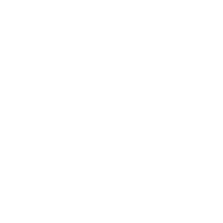 19thesmurf98's emblem