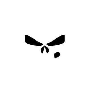Ghost Recon's emblem