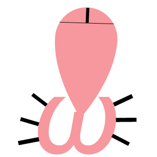 Erenggizi's emblem