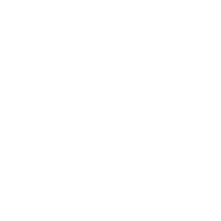 ZloHunter's emblem