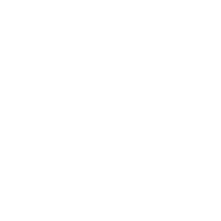 pedrogamer45's emblem