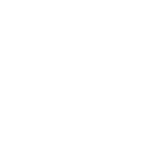 zauberluke's emblem