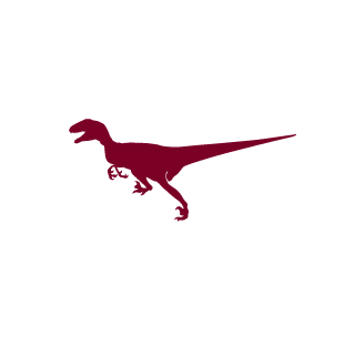 FlashPog's emblem