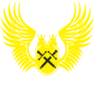 Bomber163's emblem
