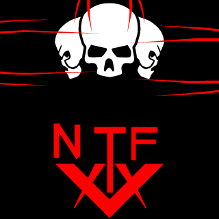 NTF TEAM's emblem
