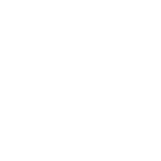 FN-2052's emblem