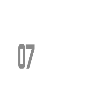 SheZ0n's emblem
