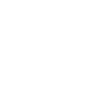 koreans-power's emblem