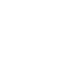 petr0v1h's emblem