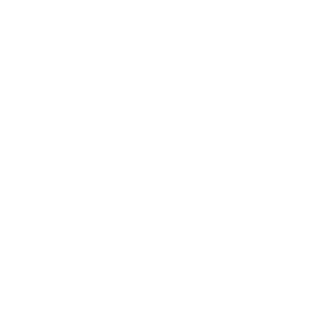 Dliga's emblem