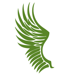 GamingDevastator's emblem