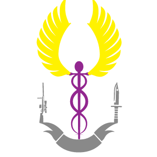 Cybor84's emblem