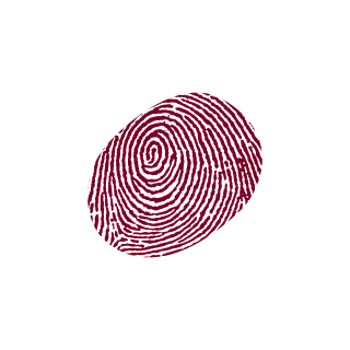 sergGoreliy's emblem