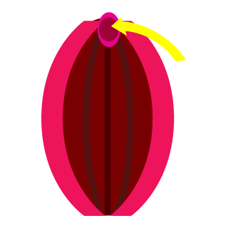 BleakOmen69's emblem