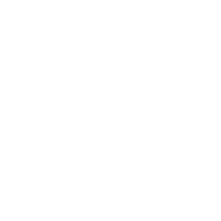 4L1P3's emblem