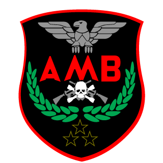 TSB-Joker's emblem