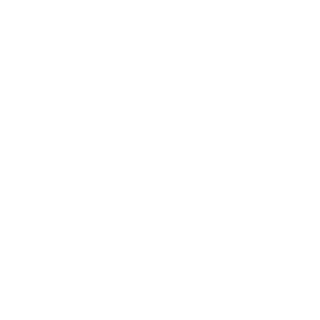 9e38256d6bdd50b7's emblem