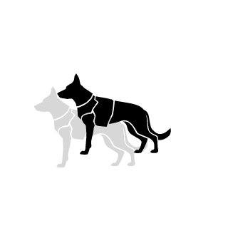 Professional's emblem