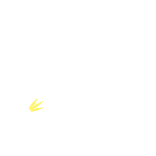 bacoco's emblem