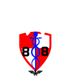 Gizmo11110's emblem