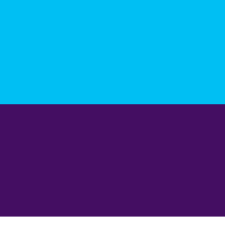 ScopEagle's emblem