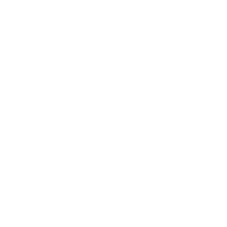 JuniorFerreiraLT's emblem