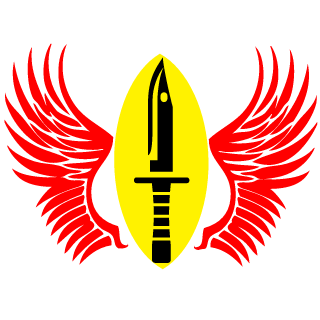 MatStrahlemann's emblem