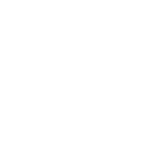 TheStampel's emblem