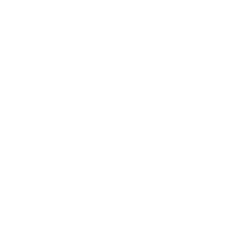 PanAndiino's emblem