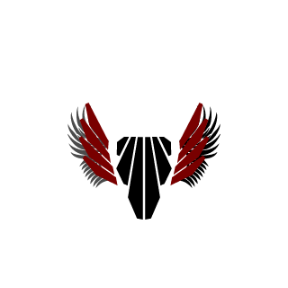 frank-castle_20's emblem