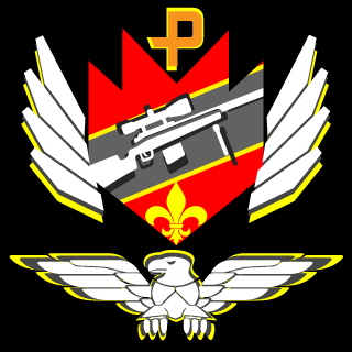 TjZeroWing's emblem