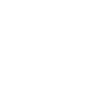 BULLISE-EA's emblem