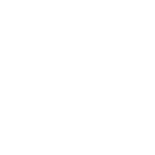 sanbro228's emblem