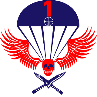 fl4ike's emblem