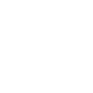 BruteHandsome's emblem