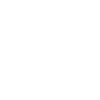 v_g_little_b_06's emblem