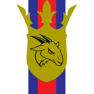 hansmikk99's emblem