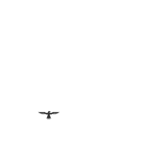 sworkspro's emblem