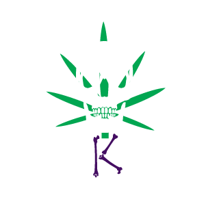 N0zix's emblem