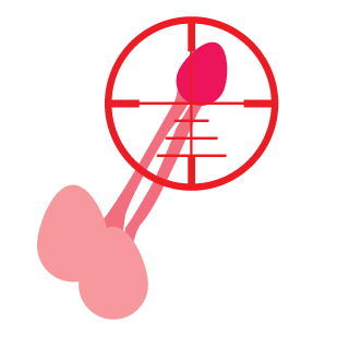 ToxicRomanianGuy's emblem