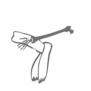 NoDesireToRetire's emblem