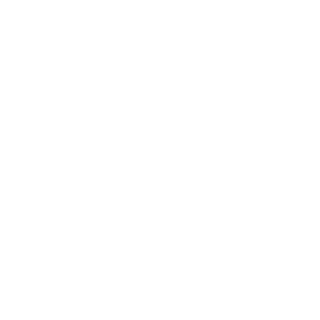13vsAll's emblem