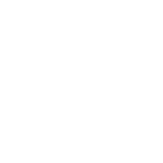 BSC_Berliner's emblem