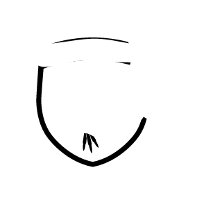 Lajci0r's emblem